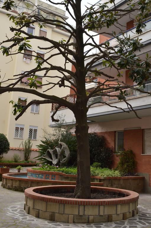 罗马Adan Vatican住宿加早餐旅馆 外观 照片